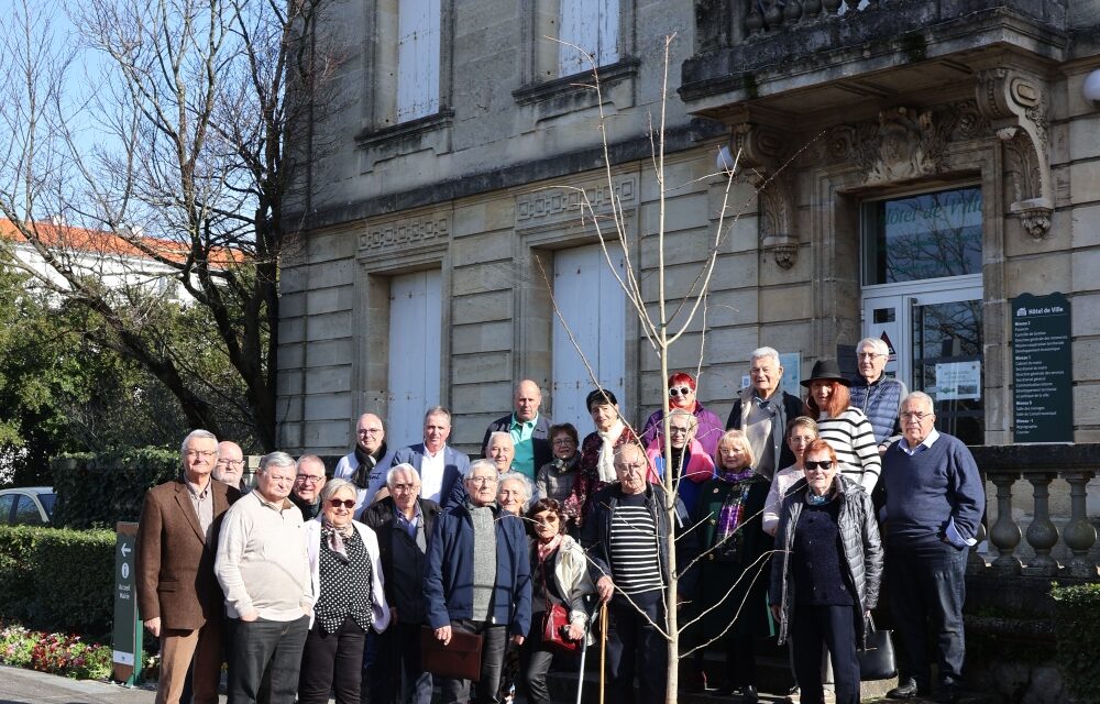 Pourquoi s’engager ou se réengager dans l&rsquo;instance CONSEIL DES SAGES en 2025 ?