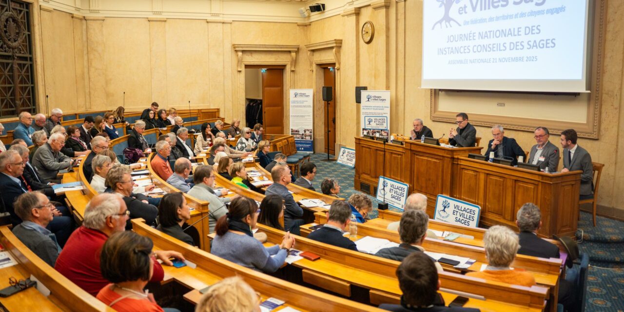 Journée nationale des instances CONSEIL DES SAGES