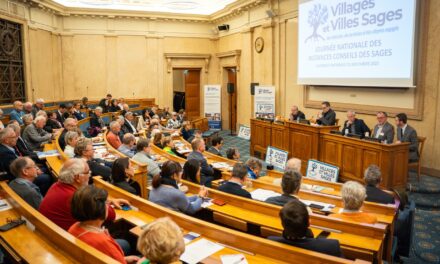Journée nationale des instances CONSEIL DES SAGES